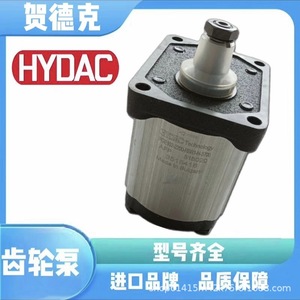 ปั๊มเกียร์ไฮดรอลิก Hydac รุ่น PGE101-740-RBQ1-N-3700 ปั๊มไฮดรอลิกแบบหมุนขับเคลื่อนด้วยไฟฟ้าทั้งหมดทำจากอะลูมิเนียม - Product Image 2