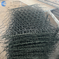 Panier gabion hexagonal tissé enduit de PVC, anti-corrosion, pour projets de conservation de l'eau