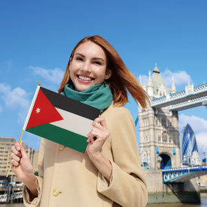 Vente en gros de haute qualité Mini drapeau à main <span class=keywords><strong>Jordan</strong></span> drapeau agitant à la main avec poteau en bois - Product Image 4