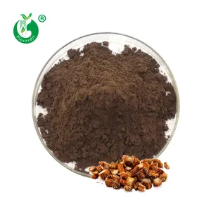 Wholesale Bulk Danshen Extract Salvianolic Acid B Tanshinone iia Salvia Extract