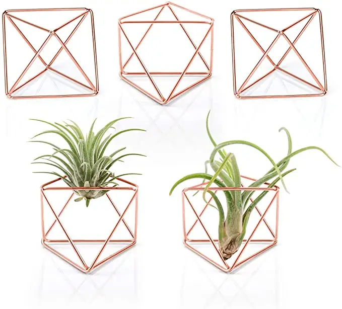Pack of 3 Hanging Metal Tillandsia Air Plant Holder Metal Holder for Ariplant Quadrilateral Pyramid Shape Geometric Hollow Flower Pots in Mixed Sizes Gold