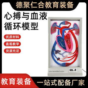 Modèle de rythme cardiaque et de circulation sanguine : Équipement d'expérimentation biologique à démonstration dynamique, instruments pédagogiques, et - Product Image 5