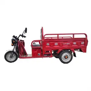 Good Selling Fat Tire Bike Basket Big L Tuk Cold Truck Cargo Ersatzteil Car 72V Three Wheel Tricycle Electric Pedicab