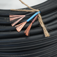 Prix de gros du câble en PVC RVV 2 conducteurs 3 conducteurs 1.5mm 2.5mm 4.0mm du fabricant de câbles Yilan en Chine de haute qualité