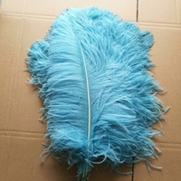 Grandes Plumes d'Autruche pour Costumes de Carnaval 55-60cm Blanches Noires Plumes Naturelles Plumes Pas Chères à Vendre pour Mariage et Fête