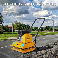 Nouveau Compacteur à Plaque ZUJI PC80 à Démarrage Manuel, Moteur Essence 6.5HP, 13KN, 5600 tr/min, 20cm, 570*450mm, Haute Efficacité
