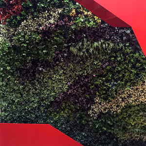 Caliente de la manera artificial Sistema de la <span class=keywords><strong>pared</strong></span> verde jardín <span class=keywords><strong>vertical</strong></span> - Product Image 5
