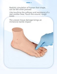 Modelo de pie diabético (leve/grave) para entrenamiento médico y educación - Product Image 4