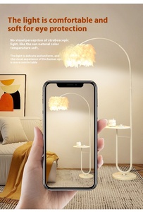 Lampadaire LED moderne en fer avec abat-jour en plumes, base E27, lumière chaude à intensité variable pour salon, décoration intérieure, design de luxe - Product Image 3