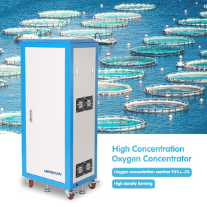 Concentrateur d'oxygène professionnel de 20 litres avec compresseur haute pression 150bar, essentiel pour l'alimentation en oxygène centrale de l'hôpital - Product Image 5