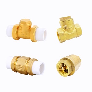 Vanne de retenue en laiton PPR DN25 à passage direct pour raccordement par fusion thermique de conduites d'eau - Product Image 1