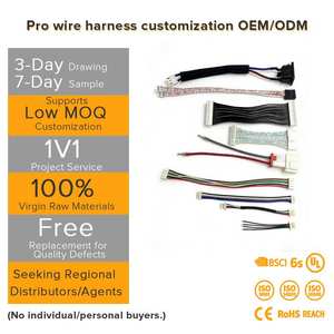 Cable Plano de 18 AWG y 3 Hilos con Conector de Arnés de 2 Pines 12117 con Conector de Cable Eléctrico Hembra para Conjuntos de Cables Personalizados - Product Image 1