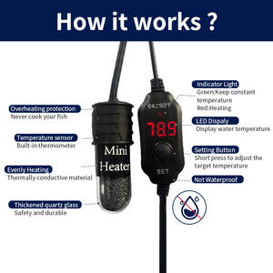 Thuis Verstelbare <span class=keywords><strong>Usb</strong></span> <span class=keywords><strong>Aquarium</strong></span> Verwarmer <span class=keywords><strong>Mini</strong></span> 10W <span class=keywords><strong>Usb</strong></span> Glazen Verwarmer Kleine <span class=keywords><strong>Aquarium</strong></span> Verwarmer Constante Temperatuur - Product Image 5