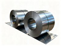 Tôles d'acier laminées à chaud et à froid S235JR SS400, plaques d'acier doux à faible teneur en carbone, vente en gros personnalisée ASTM A36 Q195 Q235 Q345 Q355