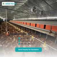 Système d'élevage avicole automatique pour poulets, avec équipement de levage de planchers, mangeoire à eau et à aliments, en PP galvanisé, neuf et durable