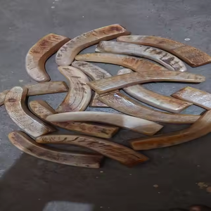 Vente en gros de balances de poignée en corne de bélier polies à la main, artisanat naturel écologique, conception complexe de motifs osseux, fournisseur de confiance - Product Image 1