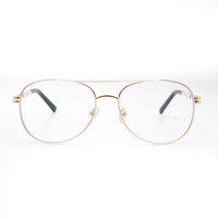 Lunettes rondes unisexes, monture en métal, ultra légères, lunettes de mode avec verres transparents en PC
