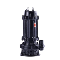 Pompe submersible électrique triphasée industrielle QX 7,5 CV, débit de 15 m³/h, sortie DN50, pour l'approvisionnement en eau des projets et l'irrigation agricole