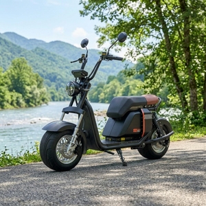 Scooter Eléctrico de Dos Ruedas con Batería de Litio de 1000w 20ah, Neumáticos Anchos de Aluminio, Venta al por Mayor en Brasil, Modelo SS701, Motor Potente de 1000w - Product Image 4