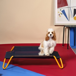 Uf Elevated <b>Dog</b> <b>Bed</b> Orthopedic Washable Pet <b>Bed</b> For <b>Dogs</b> Cats Indoor <b>Outdoor</b> Use Rectangle Mesh Design Modern Style - Product Image 3