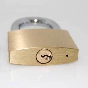 भारी ड्यूटी पीतल पदलॉक 20-70 मिमी सामान गोदाम दरवाजा सुरक्षित पदलॉक - Product Image 4