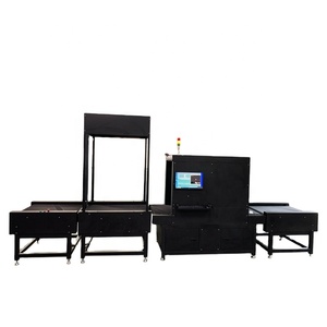 High-Throughput DWS System: Automatic Scanning &amp; Sorting for E-commerce <strong>Fulfillment</strong> Centers - Product Image 1