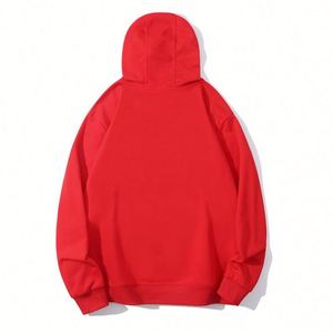 Sweats à capuche tendance en molleton bouclette, MOQ 30, design imprimé personnalisé, anti-plis, classiques, pour le printemps, échantillon gratuit, personnalisables avec marque privée - Product Image 2