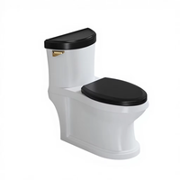 WC monobloc de luxe en céramique à chasse siphonique, économie d'eau, pour projets résidentiels et hôteliers (vente en gros)