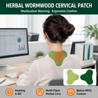 Patch Herbal Cervical Desk Care pour Soulagement Doux des Douleurs Dorsales, OEM, Marque Privée, Faible MOQ, Vente en Gros, Fournisseur en Vrac, Dropshipping, Femmes, Hommes