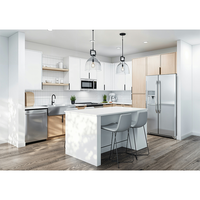 Armoires de cuisine modulaires de style shaker américain haut de gamme, personnalisation complète de la maison, ensemble d'armoires prêtes à assembler