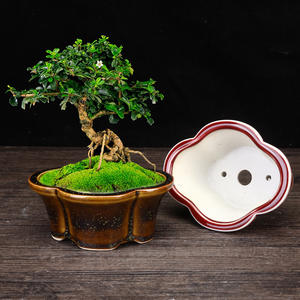 Purple Clay Ceramic Flower Pots Tabletop Small Pots Succulent <b>Personalized</b> Mini Fuchsia Pots <b>Sweet</b> Flag Bonsai Pots Flowers Vase - Product Image 2