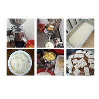 Lait de soja de soja faisant le fabricant de machine de tofu
