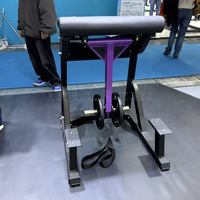 Chaise romaine professionnelle pour le développement des fessiers et des ischio-jambiers, banc multifonctionnel commercial pour l'entraînement en salle de sport, extension hyper inversée