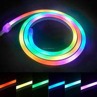 Bande LED néon flexible intelligente en PVC souple, étanche, avec télécommande USB APP BT, pour extérieur, chambre à coucher, lumière néon LED magique de couleur