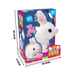 HW Toys Raflowerhildren Pet accompagnare Ironnt-child <span class=keywords><strong>2022</strong></span> New Toy B/O Cute Animal Electric Walking Plush 2023 Baby & Toddler Kids