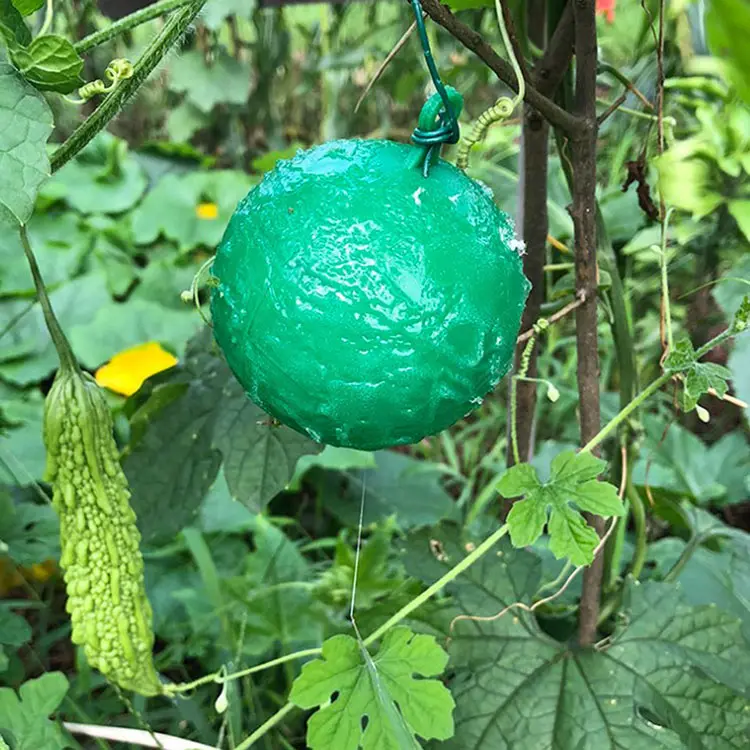 Açık tek kullanımlık asılı Wasp tuzak plastik böcek Catcher yapışkan tutkal meyve Fly Trap Bug topu