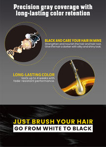 Lichen nouveauté coloration rapide peigne magique shampooing de <span class=keywords><strong>teinture</strong></span> pour <span class=keywords><strong>cheveux</strong></span> noirs - Product Image 3