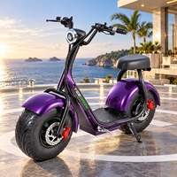 Skuter Listrik R1 Brazil 1000W, Distributor & Dealer, Kapasitas Beban Maksimum 200kg