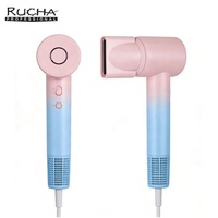 RUCHA Sèche-cheveux professionnel au plasma, moteur sans balais, 1600 W, 110 000 tr/min, haute vitesse, prix d’usine