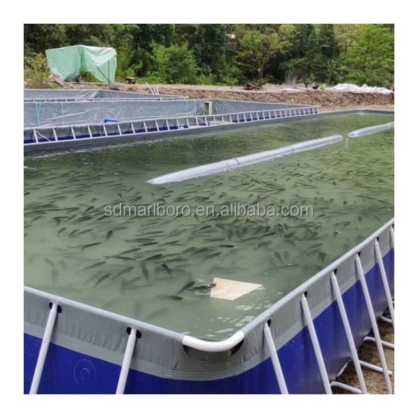 Pvc Fish Tank Pond Aquaculture Rectangular