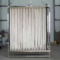 Module de membrane à rideau d'ultrafiltration MBR Cadre en acier inoxydable avec matériau PVDF Machines de traitement de l'eau à fibres creuses