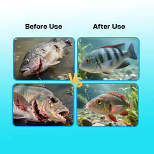 I probiotici composti acquatici regolano la qualità dell'acqua del richiamo di crescita del pesce additivo per mangimi misti - Product Image 2