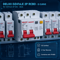 DELIXI 32A 2P AC Tipe Pemutus Sirkuit Kebocoran Arus Tanah Kurva D ELCB 230V 6kA 30mA Perlindungan Arus Sisa PA66 Tembaga 35mm DIN