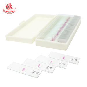 Portaobjetos de microscopio para observación de plantas, sección longitudinal de la punta del tallo de clavo, sección representativa de planta - Product Image 2