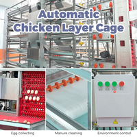 Cages à poules pondeuses galvanisées de haute qualité à bas prix, équipement d'élevage pour poules pondeuses