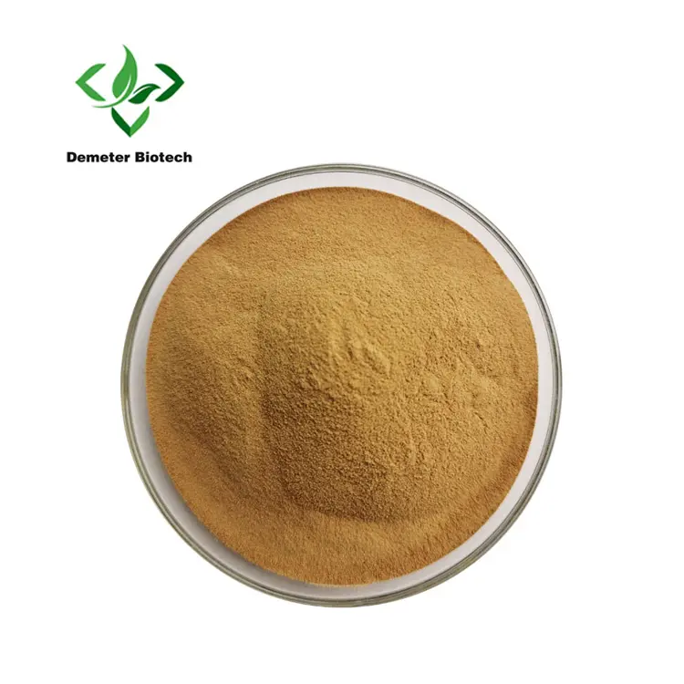 Natrual सीप मशरूम निकालने पाउडर Polysaccharide 10%- 30%
