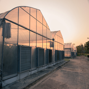 Advanced Design Agricultural Single-span Greenhouse Tunnel Plastic Film Plastic Shed