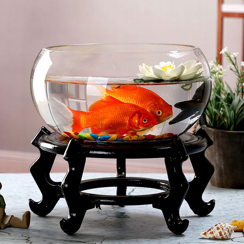 glass round aquarium decoration