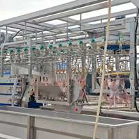 Meilleur prix pour une machine d'abattage de poulet halal pour les petites abattoirs, ligne d'abattage mobile complète, installation gratuite