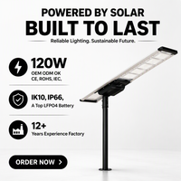 Lampadaire solaire LED monocristallin 120W avec contrôleur MPPT, angle de faisceau 140°, IP66, boîtier en aluminium, éclairage routier extérieur